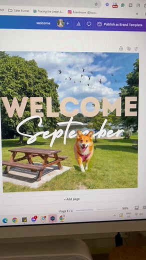 502 reactions · 178 shares | Here’s the new canva tool mga mii!! #virtualassistantforbeginner #virtualassistantips #virtualassistantlife #virtualassistantph #canvahacks #blendcanva #canvaapp #canvapro #canvatemplates | Cherry Ayen Ortega | Facebook