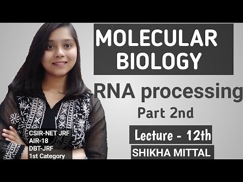 RNA PROCESSING Part 2nd - MOLECULAR BIOLOGY CSIR-NET JRF LIFESCIENCE