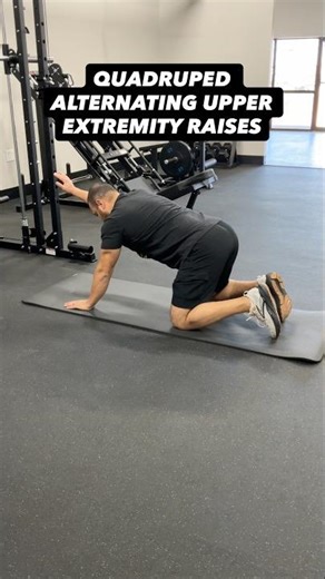 Quadruped Alternating Upper Extremity Raises | Scapular Drive & Lumbar Stability