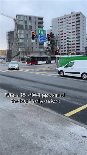 Surviving -10 Degrees: Bus Arrival in Fribourg