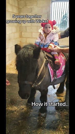 1.1K views · 37 reactions | Happy Gotcha Day, Wicket!  5 whole years...