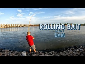 Catching catfish rolling bait below the dam