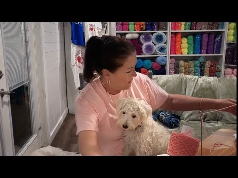 03/08/26 1.\t“Frogging Frenzy in the Yarn Cabin 🐸🧶”