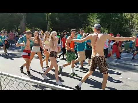 Bay to breakers San Francisco 2017