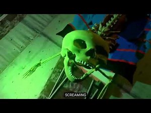 Shed 17 Thomas's Scream #shed17 #thomas #Saveyoutube