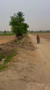 Matlab 1000 Dena para ga 😳 #waitforit #fypviral2025シ | Imran daha