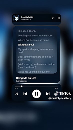 Evanescence - Bring Me To Life Lyrics Explained