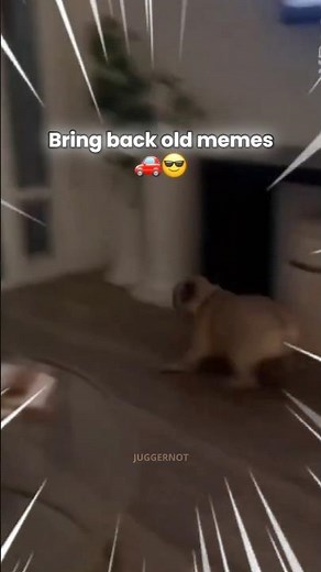 Deja Vu Meme But It’s Dogs Drifting #memes #funnymemes