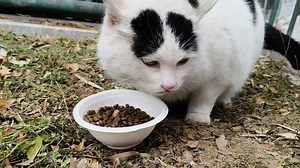 真我Neo7的IMX882扫码级别相机速览