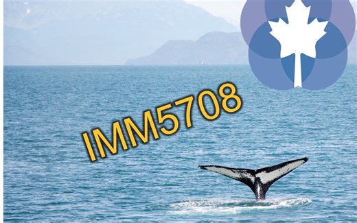 如何填写IMM5708表 - 加拿大境内访问身份延期 - 留学生陪同家长、探亲父母必看