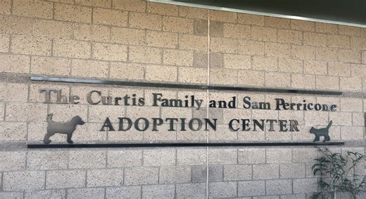 Humane Society of Yuma at full capacity, urges community to adopt and support