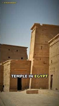 Tyler Engle Tells Rogan What the Templars Dug for in Jerusalem #templars #joerogan #jerusalem