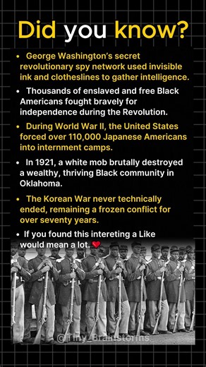 What They Didn't Teach You in US History Class