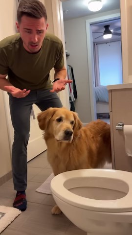 The Chaos of Packing When Your Dog Knows You’re Leaving