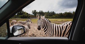 Une aventure estivale en trois temps au Parc Safari