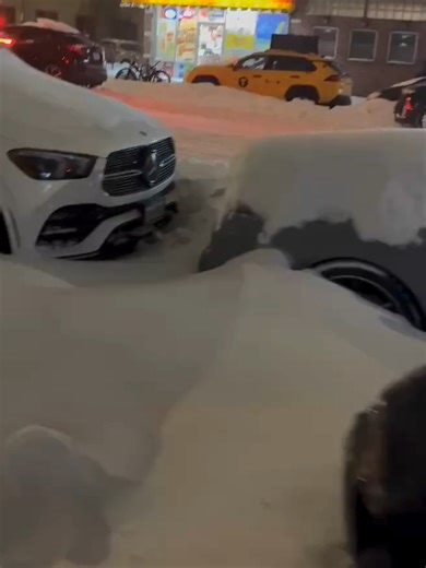 Snowy Oasis: NYC Buried in Snow This Sunday