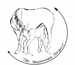 The Broodmare Project