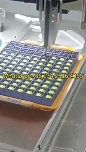 Epoxy Dispensing Equipment for Mass Production