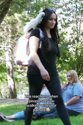 Hilarious Parrot Walking Reactions