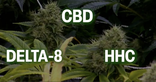 Hemp crackdown threatens health products, multi-billion dollar industry