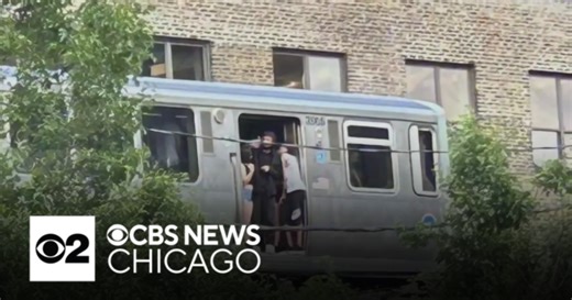Fire under train halts Chicago Transit Authority's Brown Line during rush hour
