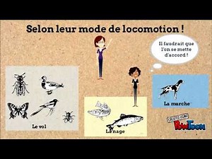 Classification scientifique des êtres vivants