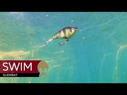Swim Glidebait - Westin-Fishing