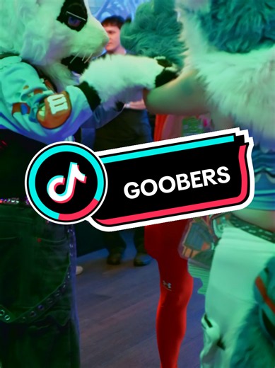 Meet Goobers: A Fursuiting Adventure