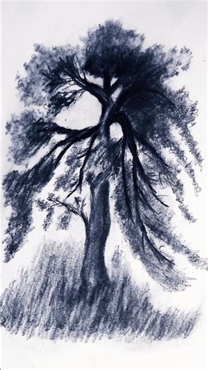 Step-by-Step Charcoal Tree Drawing: Technique and Composition #art #drawing #sketch #pencildrawing