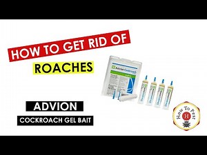 How to Get Rid of Cockroaches FAST | Advion Cockroach Gel Bait Tutorial (DIY Pest Control)