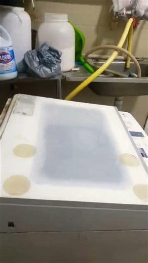 washing machine beat #memes #roblox #funny #funnymemes #fypシ゚viral