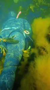 Sea monster attack 🤣 | Ку-Ку Бенд/Ku-Ku Band