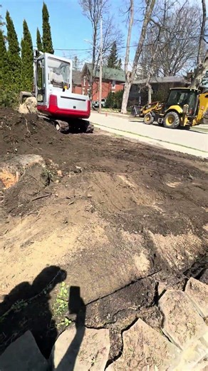 Trees and bushes transplanted using excavator and soil stripped to remove big tree root