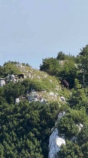 22K views · 284 reactions | What does it mean to stand in the...