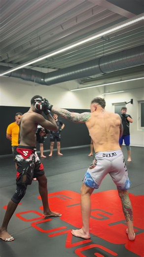 #mma #training #coach #coaching #mmatraining Oktogon MMA Technik Next Level Team Focus schlagen Kick ko knock-out MMA