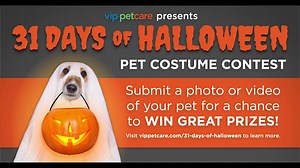 The first week of VIP Petcare's Annual Pet Costume Contest has been...