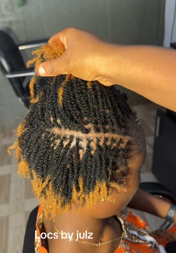 Starter Locs Journey: Transform Your Hair with Micro Twists