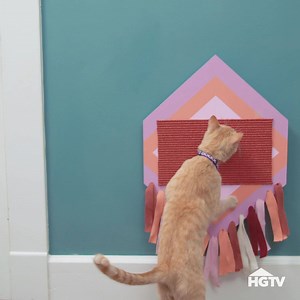 357K views · 698 reactions | Happy Caturday! Craft a scratcher with and/or for your kitty.  | HGTV | Facebook