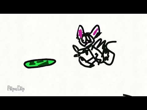 Gatos vs pepino 🥒