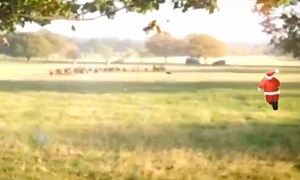 Going Viral: Fenton gets a festive makeover...