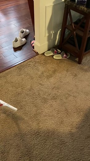 VT💙 (@vacuumtest)’s videos with original sound - VT💙