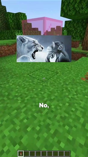 Minecraft Firework With All Effects