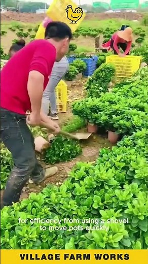These Farming Hacks are GENIUS 🌱 So Efficient! #FarmingLife
