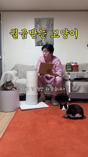 자본주의 맛을 아는 고양이의 월급 정산