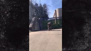 Israel Protester Dies After Setting Himself On Fire Outside Embassy