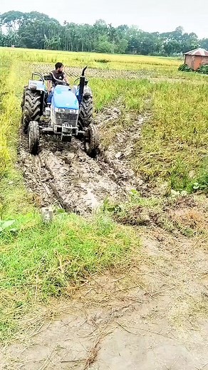 আসলে ভাই আমার ভুলটা কি ছিল