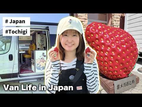 Strawberries STRAWberries STRAWBERRIES!!! 🚐 Van Life in Japan