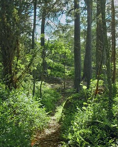 2K views · 129 reactions | (Dis)connect and de-stress with Sweden’s new initiative the ‘Out of Office Office’. Working and living close to nature can increase your well-being, shows a newly conducted case study.   Read more about a workation in Sweden and places to stay without compromising on internet connectivity: https://fal.cn/OutOfOfficeOffice | VisitSweden | Facebook