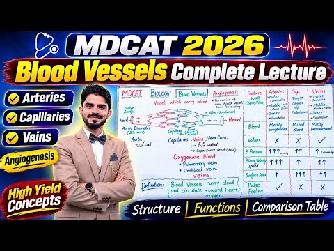 MDCAT 2026 | Blood Vessels Complete Lecture | Arteries, Capillaries & Veins | Angiogenesis