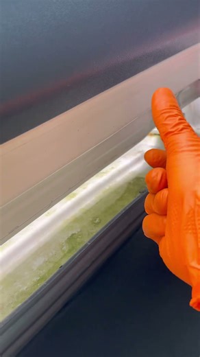 Car wash, before after, green algae removal